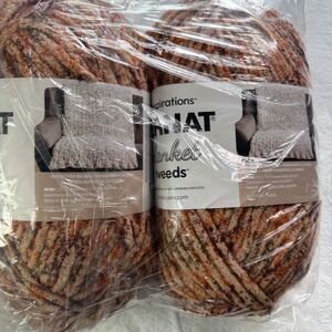 Bernat Blanket Yarn 2 Skeins Sandy Tweed Variegated Color 38004 Ball Blanket NEW